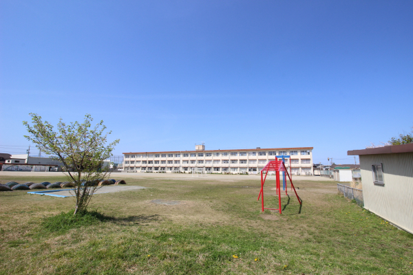桜島小学校