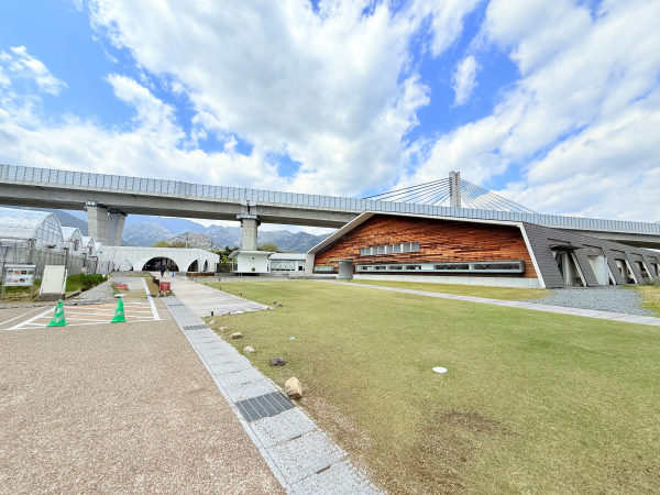 アクアイグニス