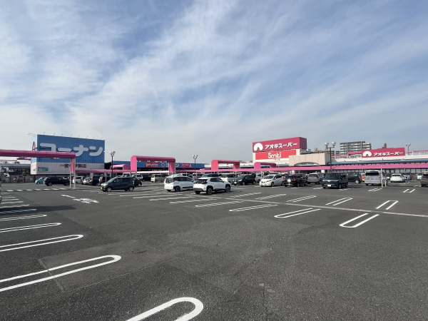 ニッケコーナンプラザ(コーナン･アオキスーパーなど)