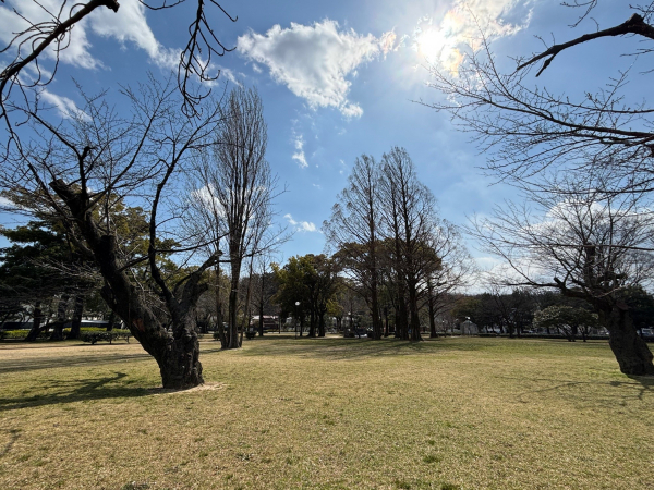 野一色公園