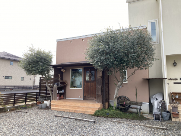 Cache Cache (カシュカシュ)