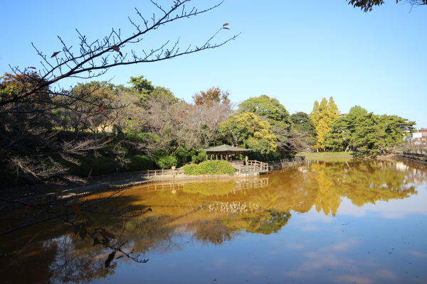 亀城公園