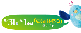 住宅見学会